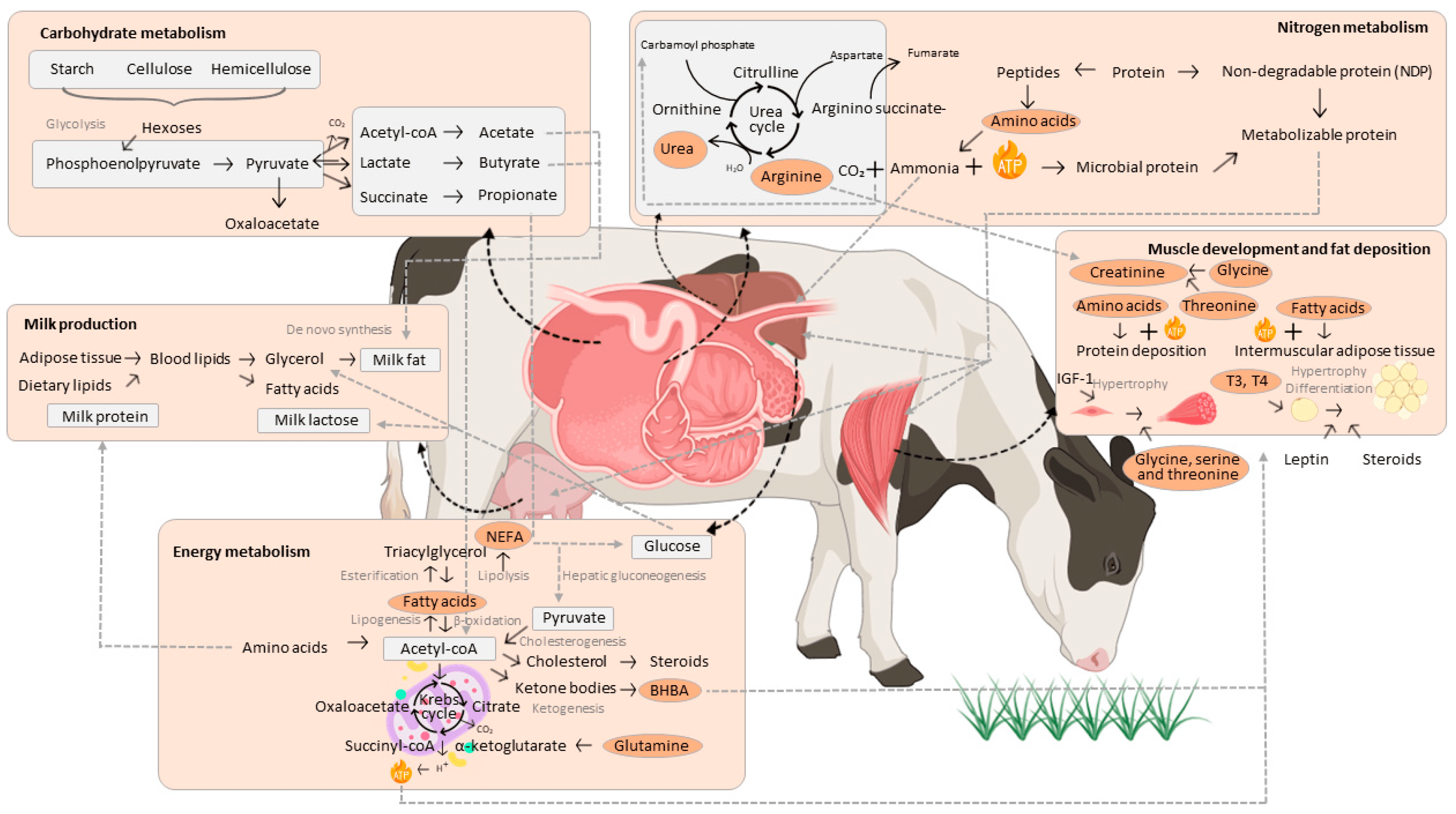 Metabolites2024