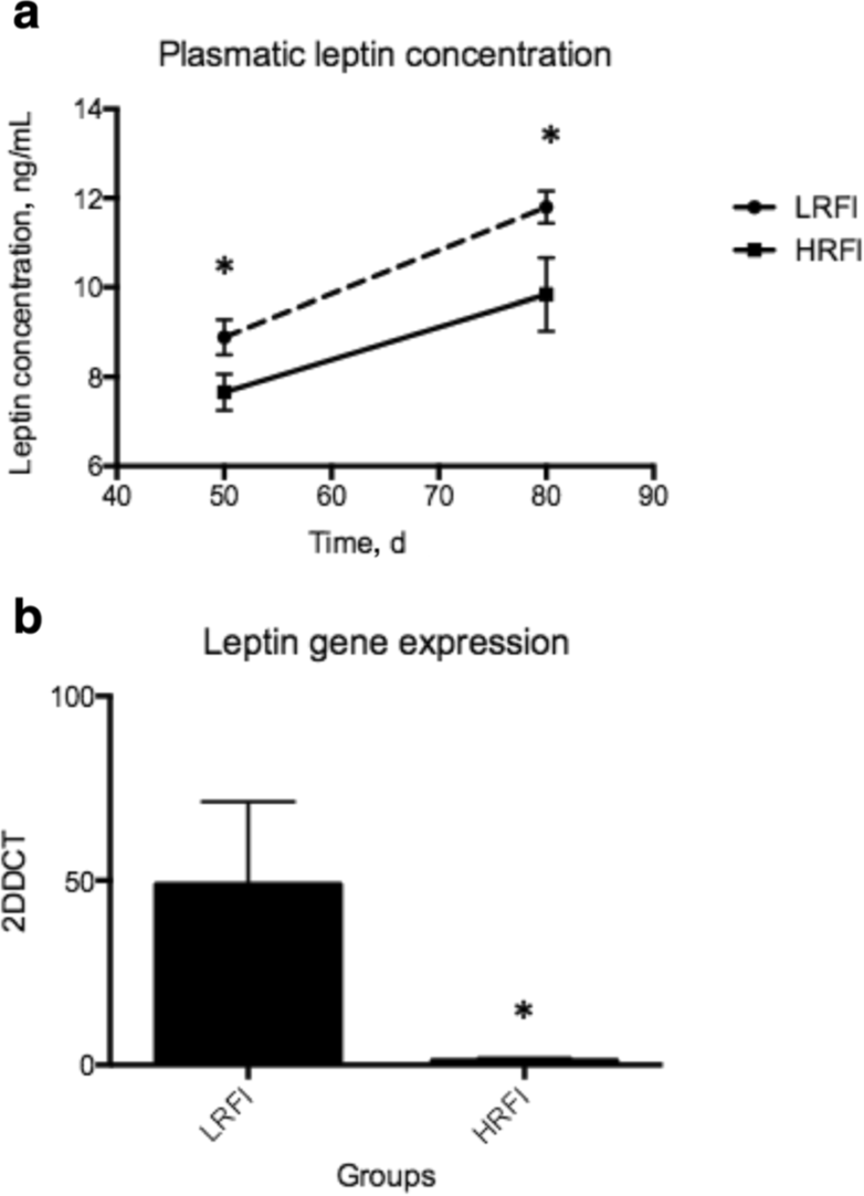 visual2017leptin